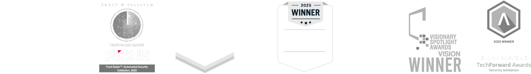 picus-awards-light-feb26