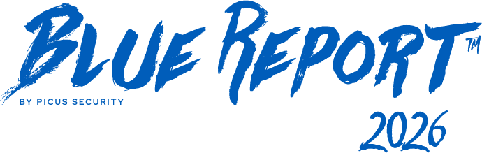 byPicus-BlueReport2026-Logo-Blue