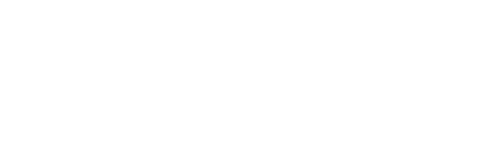 byPicus-BlueReport2026-Logo-White