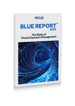 blue-report-mockup-2025